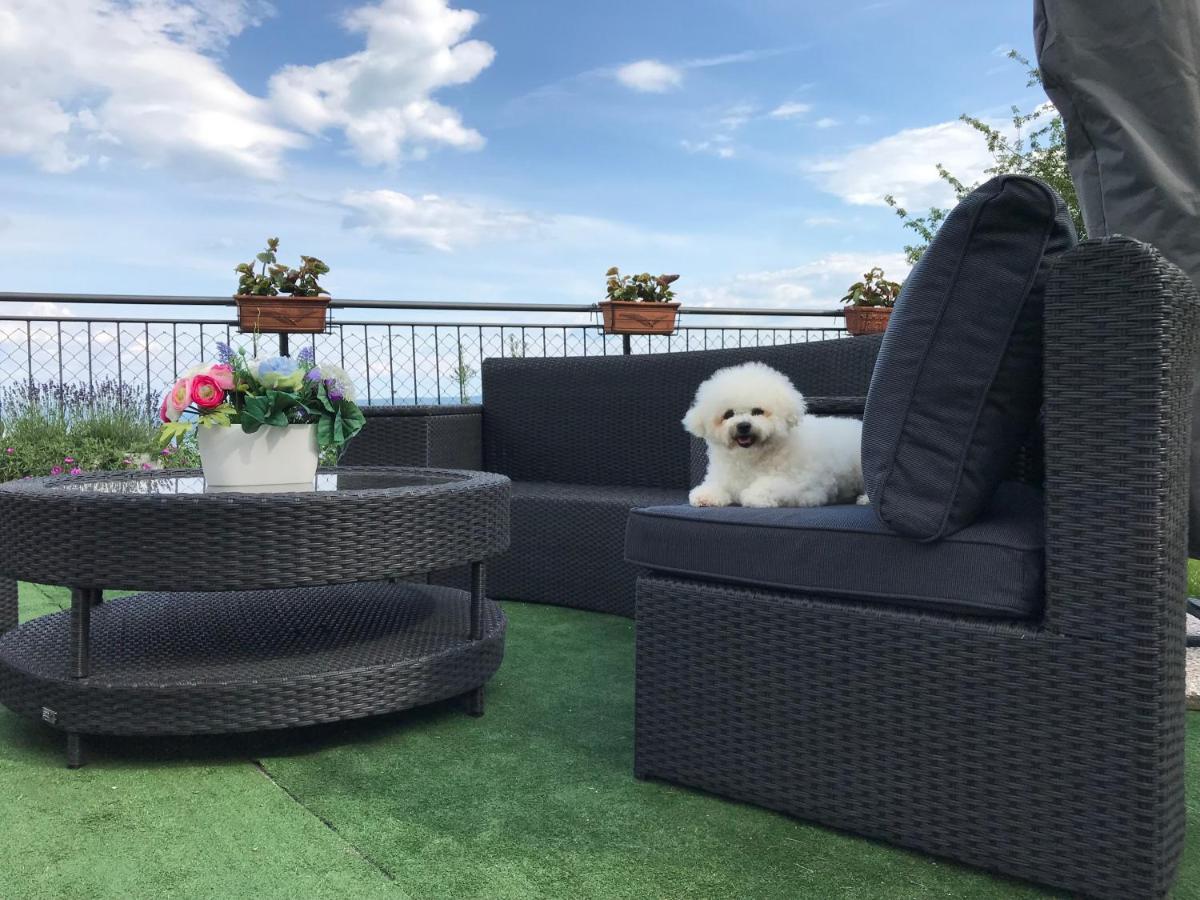Apartman Nicole Mošćenička Draga Kültér fotó